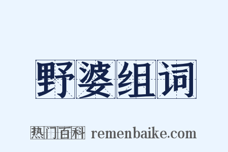 野婆组词是什么意思的图片